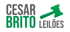 Leiloeiro César Brito